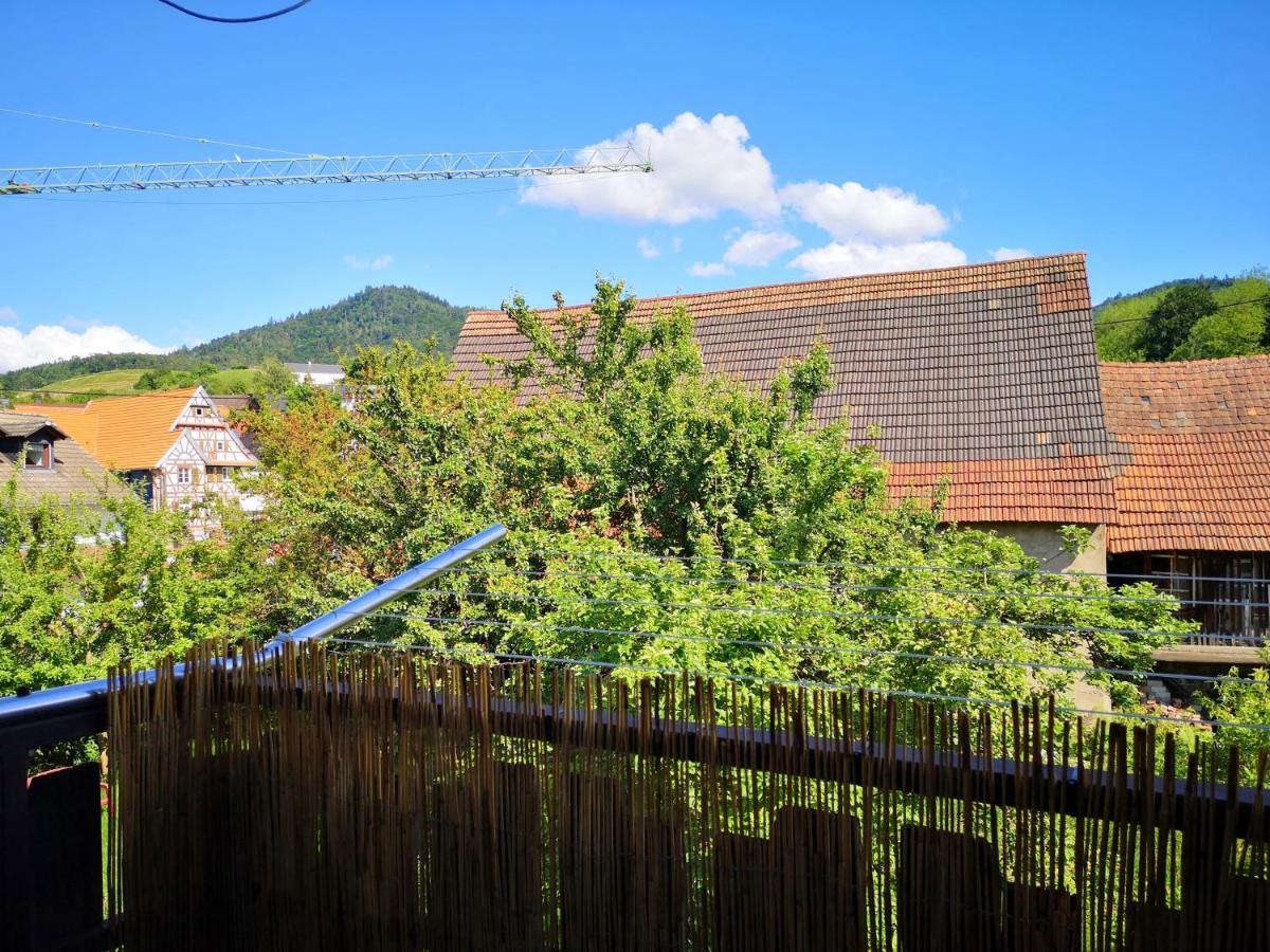 Family-Apartment Mit Balkon, Kueche, Parkplatz & Waschmaschine Офенбург Екстериор снимка